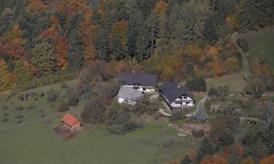 Posest na Remšniku, Radlje ob Dravi